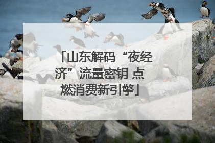山东解码“夜经济”流量密钥 点燃消费新引擎