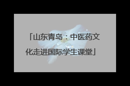 山东青岛：中医药文化走进国际学生课堂