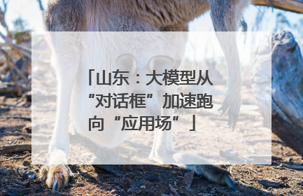 山东：大模型从“对话框”加速跑向“应用场”