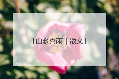 山乡喜雨｜散文