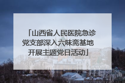 山西省人民医院急诊党支部深入六味斋基地开展主题党日活动