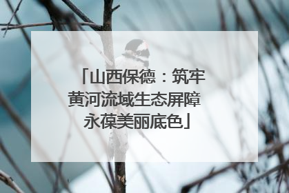 山西保德：筑牢黄河流域生态屏障 永葆美丽底色