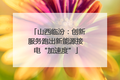 山西临汾：创新服务跑出新能源接电“加速度”