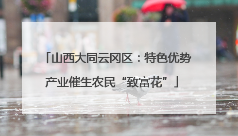 山西大同云冈区：特色优势产业催生农民“致富花”
