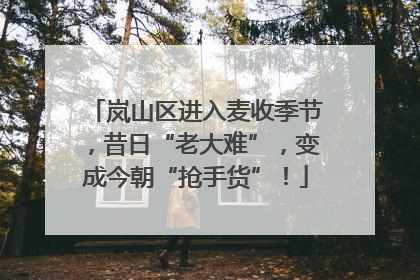 岚山区进入麦收季节，昔日“老大难”，变成今朝“抢手货”！