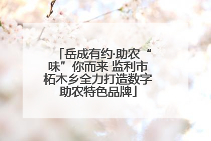 岳成有约·助农“味”你而来 监利市柘木乡全力打造数字助农特色品牌