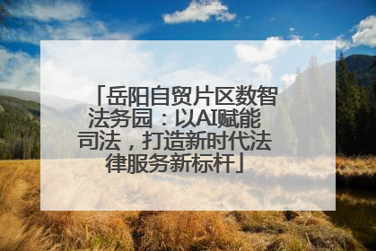 岳阳自贸片区数智法务园：以AI赋能司法，打造新时代法律服务新标杆