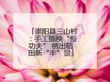 崇阳县三山村：手工插秧“慢功夫” 绣出稻田新“丰”景