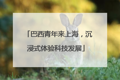 巴西青年来上海，沉浸式体验科技发展
