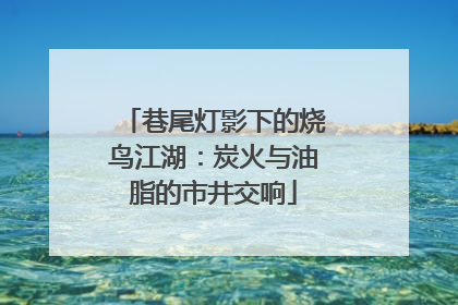 巷尾灯影下的烧鸟江湖：炭火与油脂的市井交响