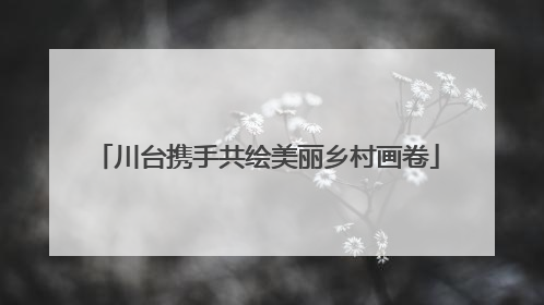 川台携手共绘美丽乡村画卷