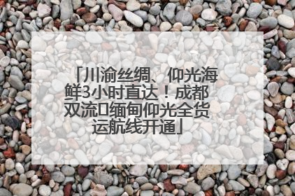 川渝丝绸、仰光海鲜3小时直达！成都双流⇌缅甸仰光全货运航线开通