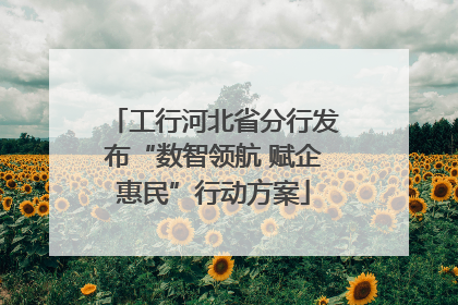 工行河北省分行发布“数智领航 赋企惠民”行动方案