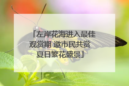 左岸花海进入最佳观赏期 邀市民共赏夏日繁花盛景