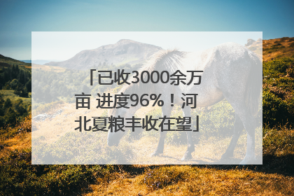 已收3000余万亩 进度96%！河北夏粮丰收在望
