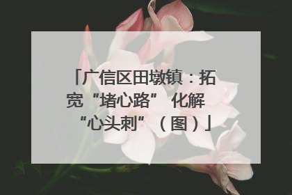 广信区田墩镇：拓宽“堵心路” 化解“心头刺”（图）
