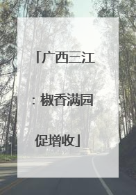 广西三江：椒香满园促增收