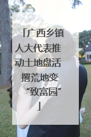 广西乡镇人大代表推动土地盘活 撂荒地变“致富园”