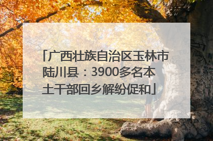 广西壮族自治区玉林市陆川县：3900多名本土干部回乡解纷促和