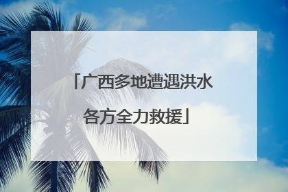 广西多地遭遇洪水 各方全力救援