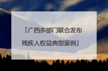 广西多部门联合发布残疾人权益典型案例