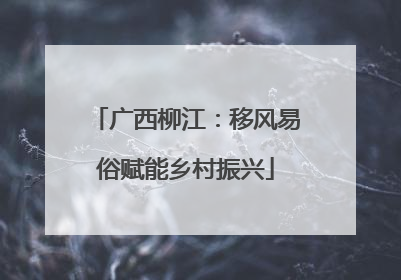 广西柳江：移风易俗赋能乡村振兴