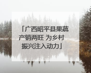 广西昭平县果蔬产销两旺 为乡村振兴注入动力