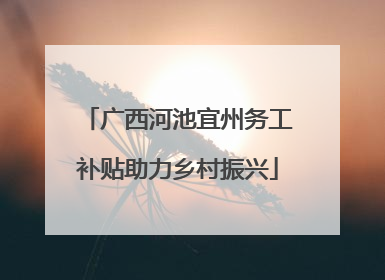 广西河池宜州务工补贴助力乡村振兴