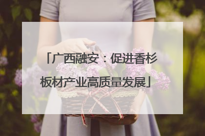 广西融安：促进香杉板材产业高质量发展