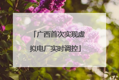 广西首次实现虚拟电厂实时调控
