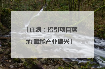 庄浪：招引项目落地 赋能产业振兴