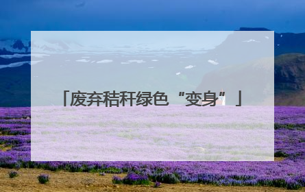 废弃秸秆绿色“变身”