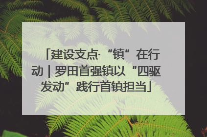 建设支点·“镇”在行动｜罗田首强镇以“四驱发动”践行首镇担当