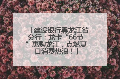 建设银行黑龙江省分行：龙卡“66节”惠购龙江，点燃夏日消费热浪！