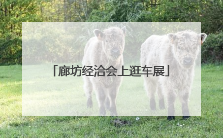 廊坊经洽会上逛车展