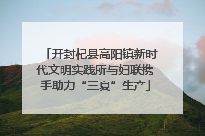 开封杞县高阳镇新时代文明实践所与妇联携手助力“三夏”生产