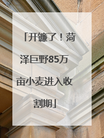 开镰了！菏泽巨野85万亩小麦进入收割期
