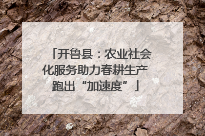 开鲁县：农业社会化服务助力春耕生产跑出“加速度”