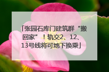 张园石库门建筑群“搬回家”！轨交2、12、13号线将可地下换乘