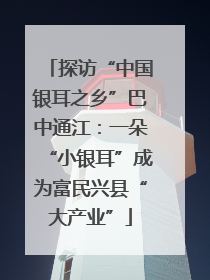 探访“中国银耳之乡”巴中通江：一朵“小银耳”成为富民兴县“大产业”