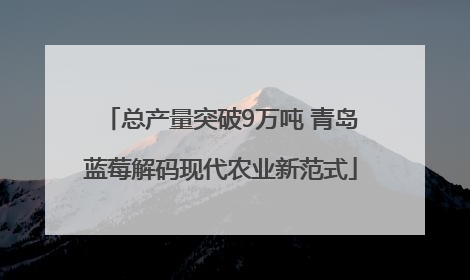 总产量突破9万吨 青岛蓝莓解码现代农业新范式