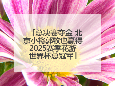 总决赛夺金 北京小将郭牧也赢得2025赛季花游世界杯总冠军