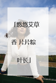 悠悠艾草香 片片粽叶长