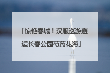 惊艳春城！汉服巡游邂逅长春公园芍药花海