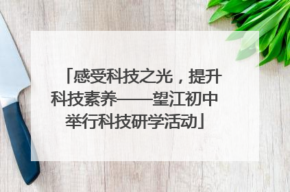 感受科技之光，提升科技素养——望江初中举行科技研学活动