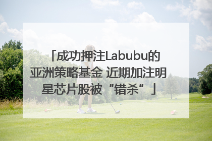 成功押注Labubu的亚洲策略基金 近期加注明星芯片股被“错杀”