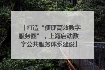 打造“便捷高效数字服务圈”，上海启动数字公共服务体系建设