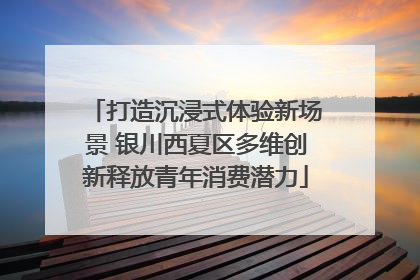 打造沉浸式体验新场景 银川西夏区多维创新释放青年消费潜力