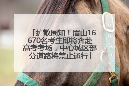 扩散周知！眉山16670名考生即将奔赴高考考场，中心城区部分道路将禁止通行