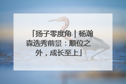 扬子零度角｜杨瀚森选秀前景：顺位之外，成长至上
